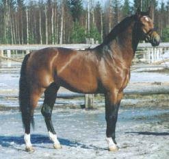 Royalist