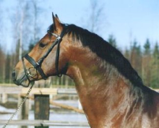 Royalist